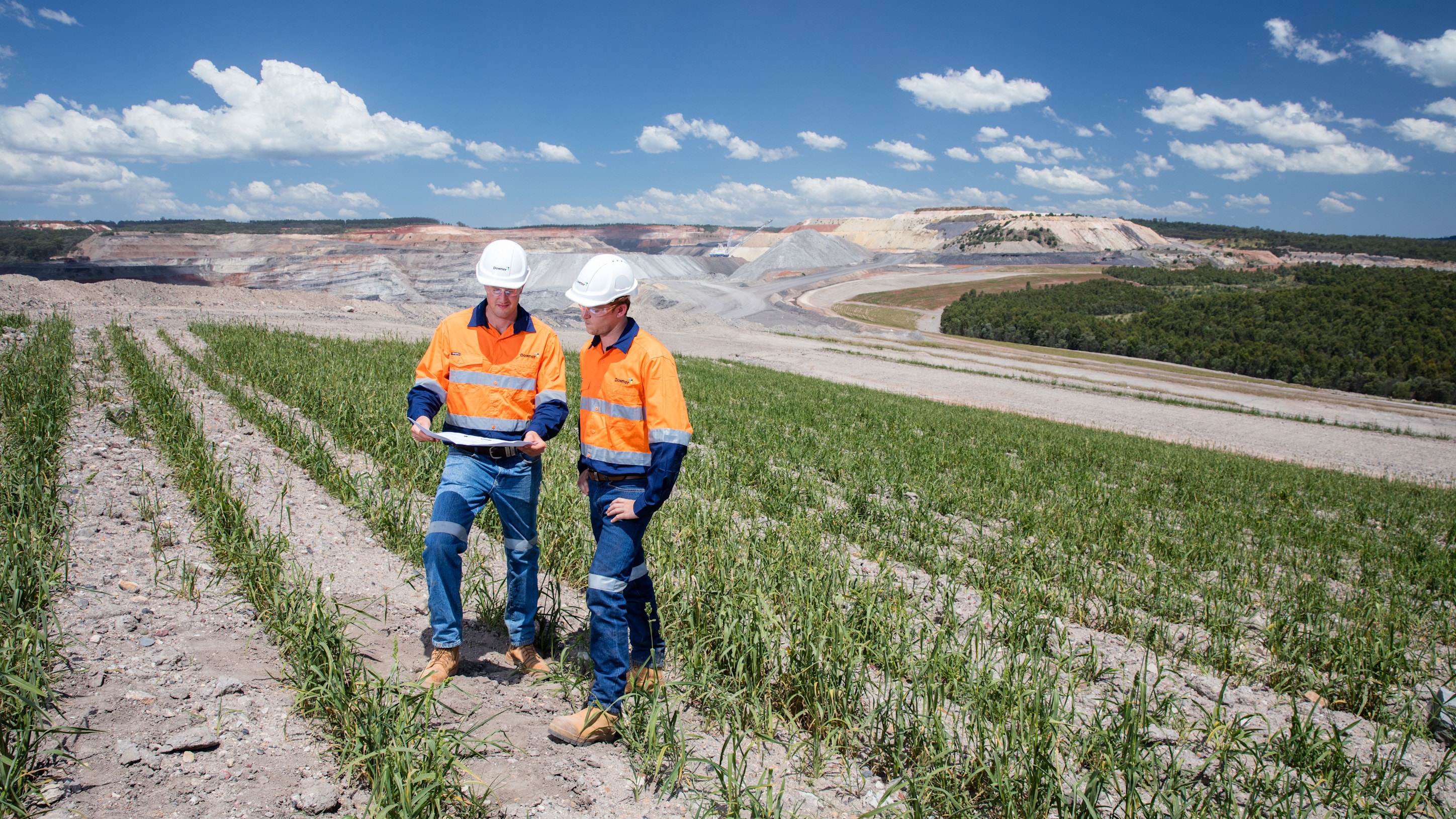 Meandu Mine land rehab picture