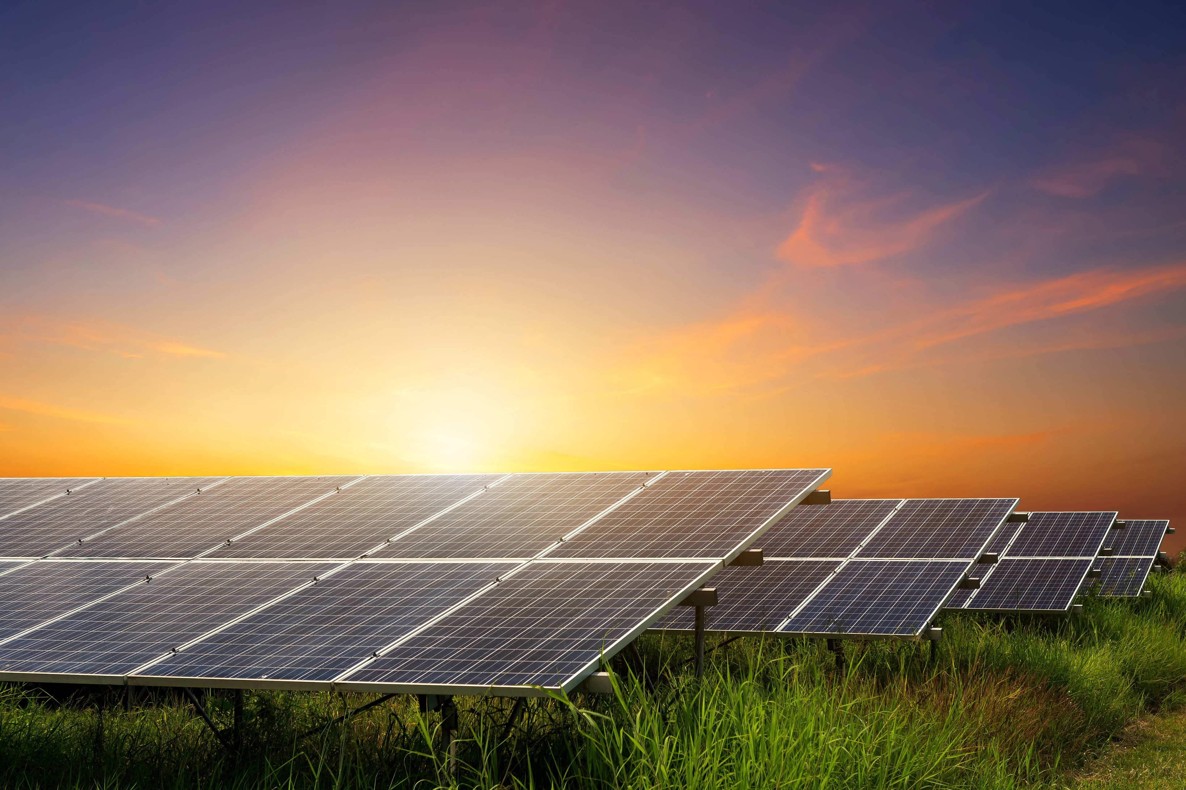 Solar farm at sunset 