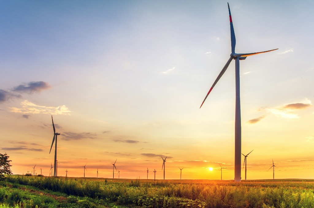 Expansive wind farm and sun set